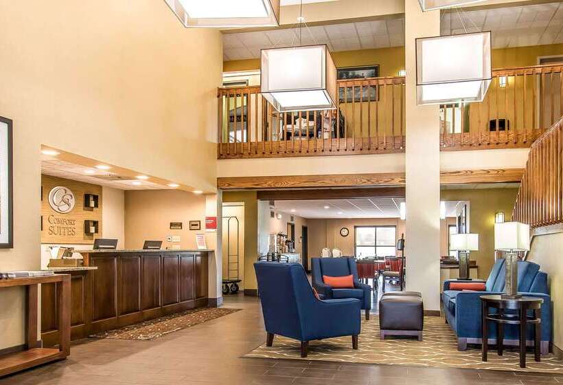 فندق Comfort Suites Effingham
