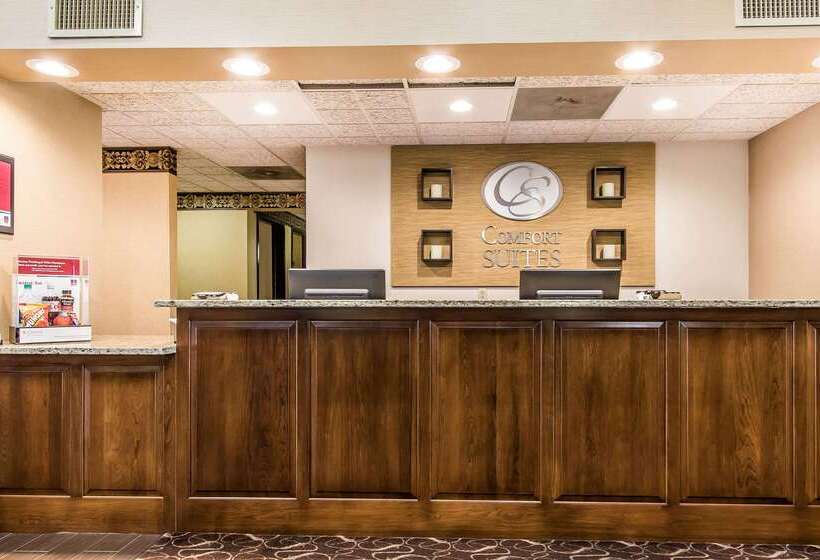 בית מלון כפרי Comfort Suites Effingham