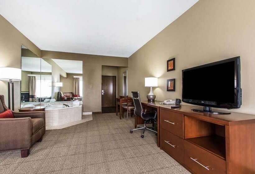 فندق Comfort Suites Effingham