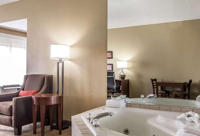 فندق Comfort Suites Effingham