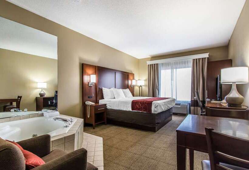 فندق Comfort Suites Effingham