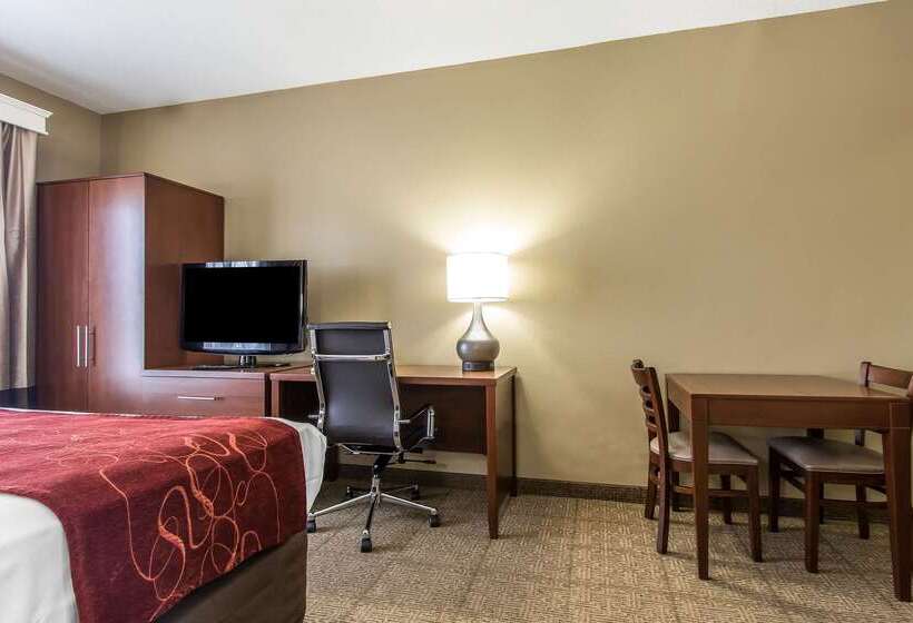 فندق Comfort Suites Effingham