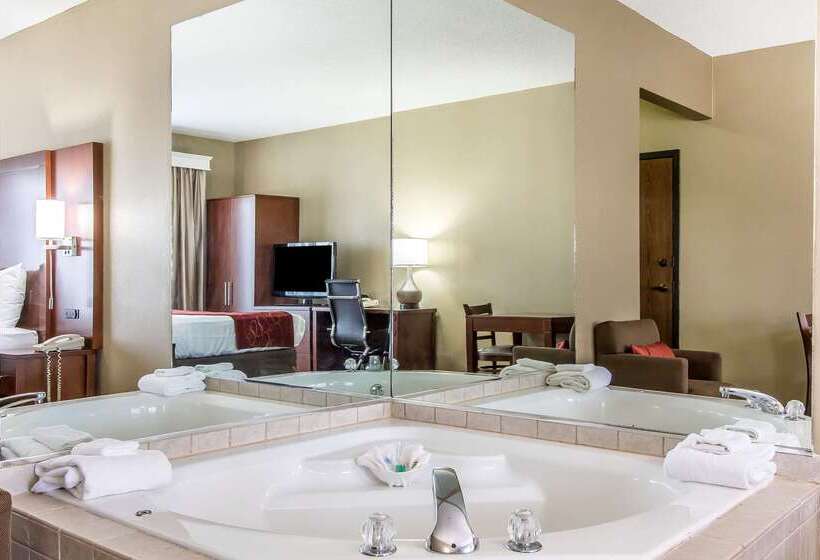 فندق Comfort Suites Effingham