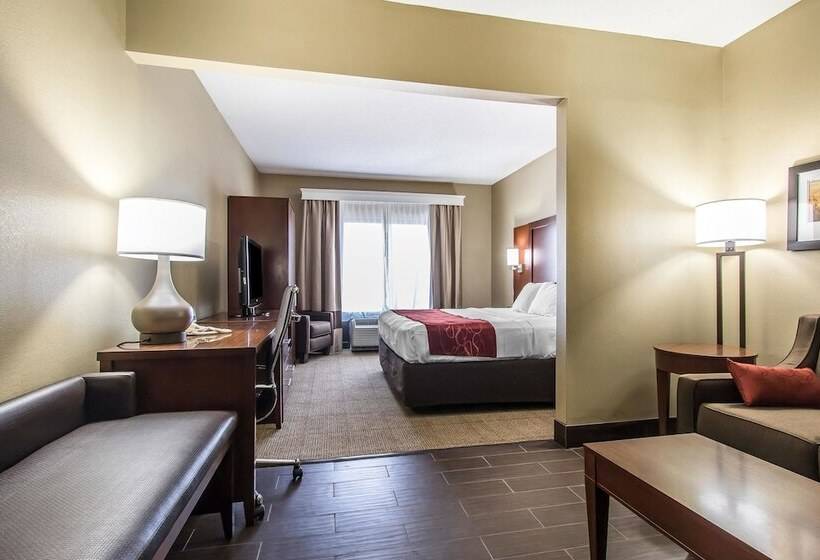 فندق Comfort Suites Effingham