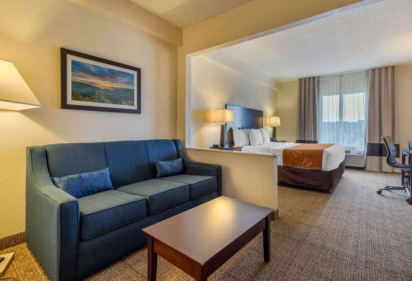 Отель Comfort Suites Gastonia  Charlotte