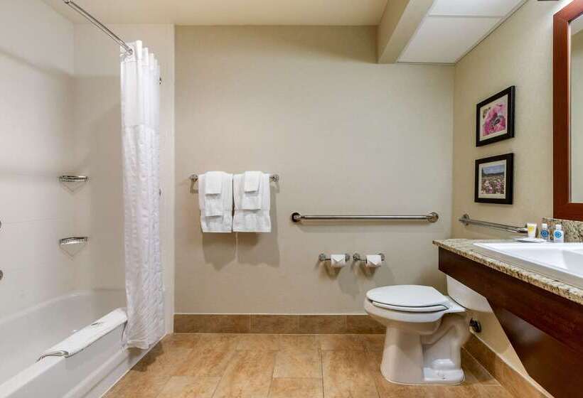 Отель Comfort Suites Gastonia  Charlotte