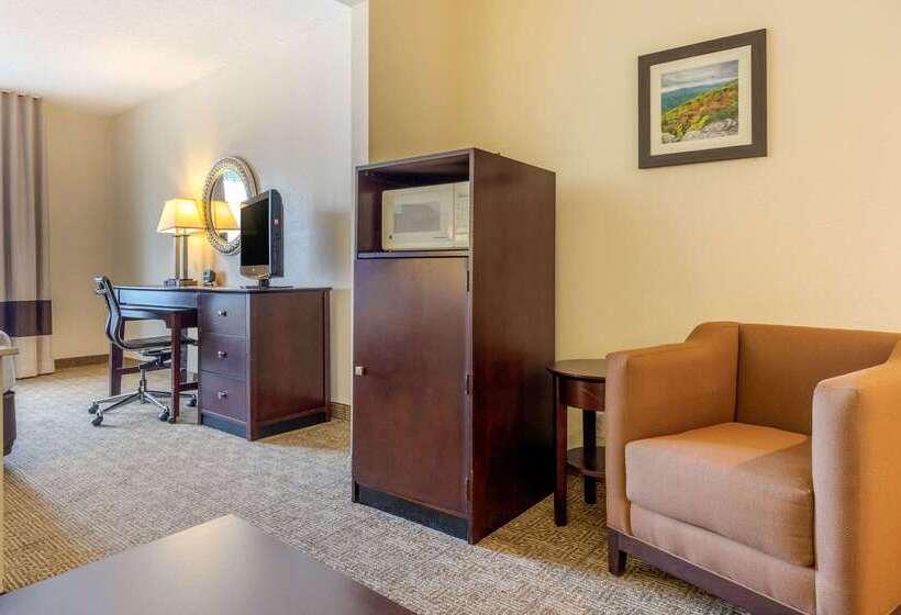 Отель Comfort Suites Gastonia  Charlotte