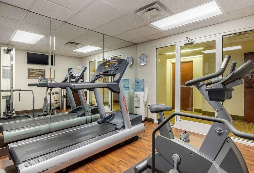 ホテル Comfort Suites Gastonia  Charlotte