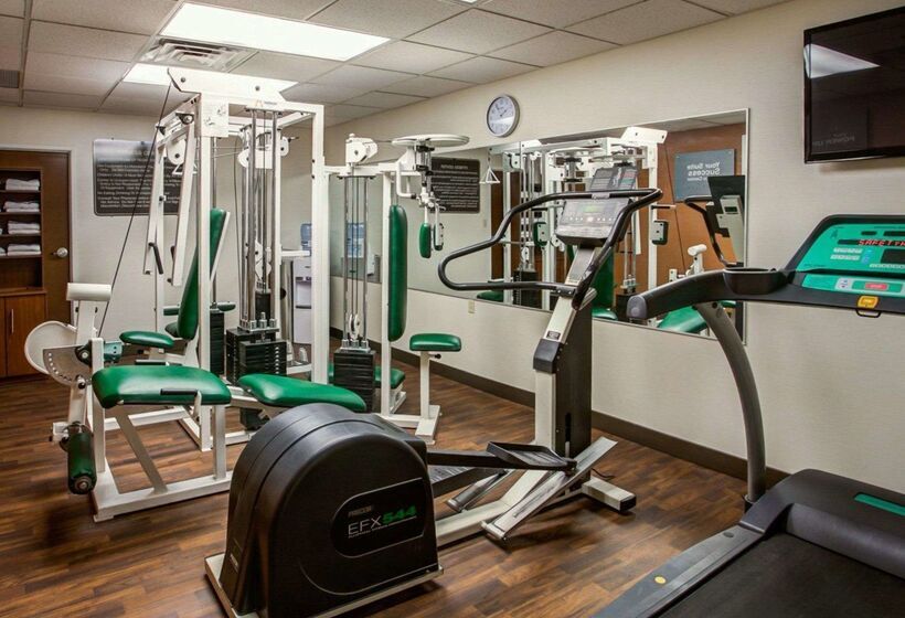 ホテル Comfort Suites Georgetown