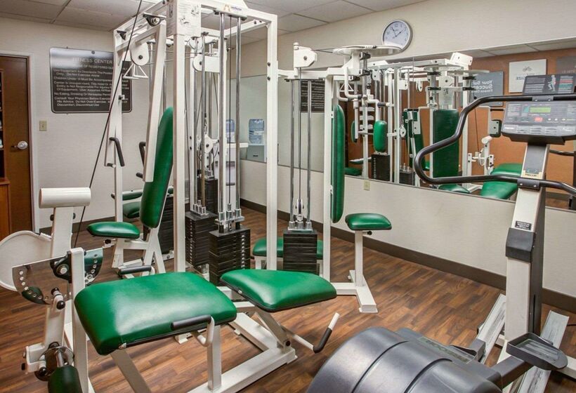 ホテル Comfort Suites Georgetown