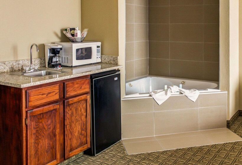 هتل Comfort Suites Georgetown