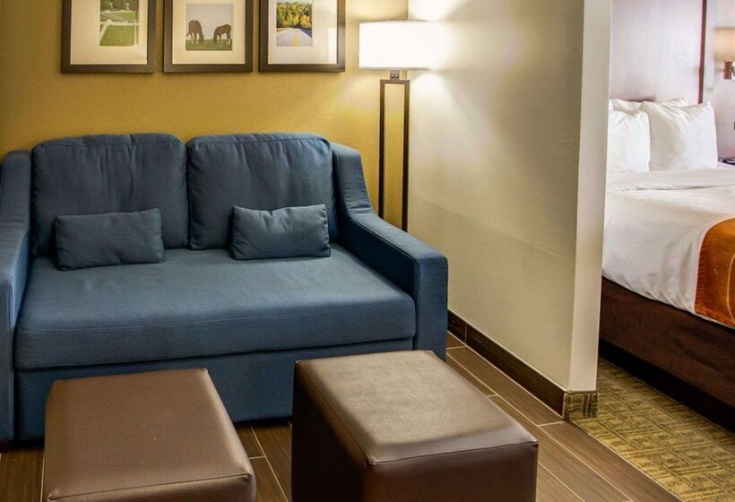 ホテル Comfort Suites Georgetown