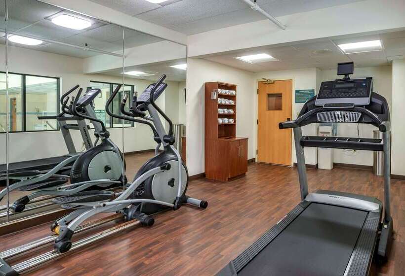 فندق Comfort Suites