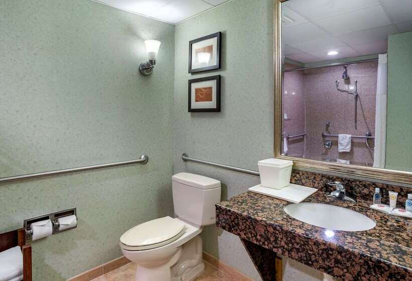 فندق Comfort Suites