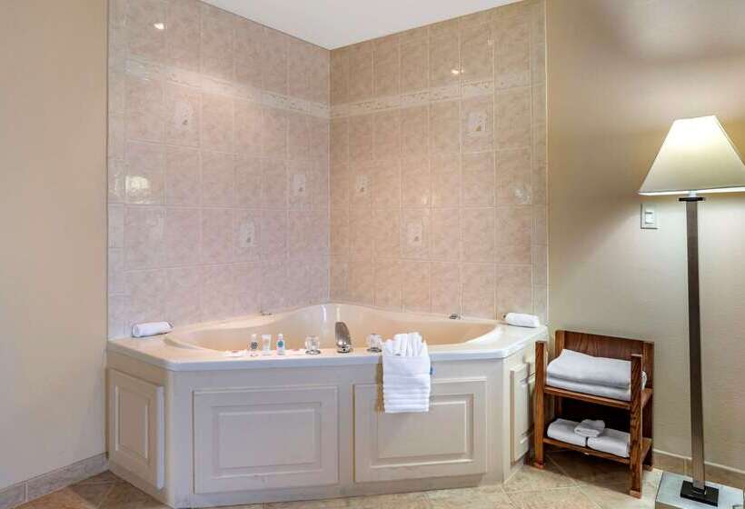 فندق Comfort Suites