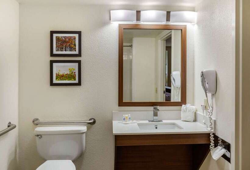 בית מלון כפרי Comfort Suites Hanes Mall