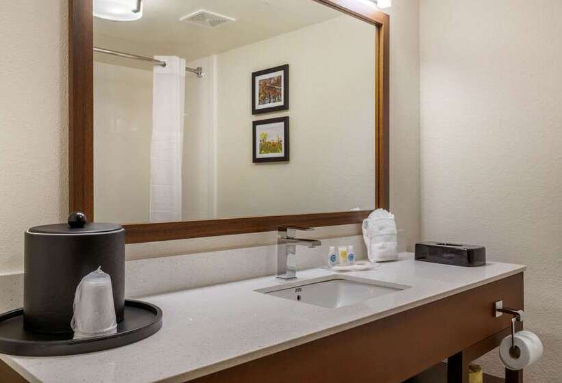 בית מלון כפרי Comfort Suites Hanes Mall