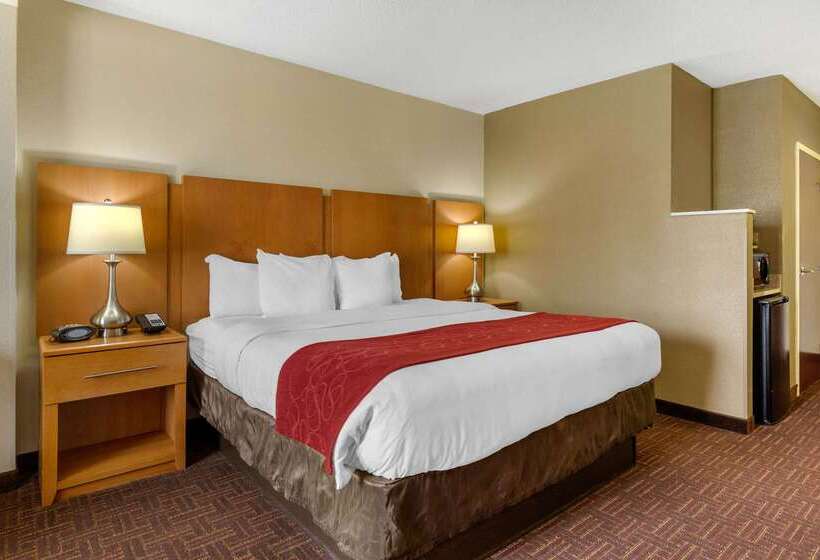 בית מלון כפרי Comfort Suites Hanes Mall