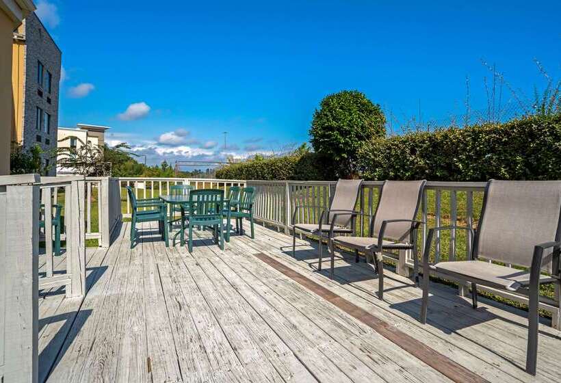 酒店 Comfort Suites Hattiesburg