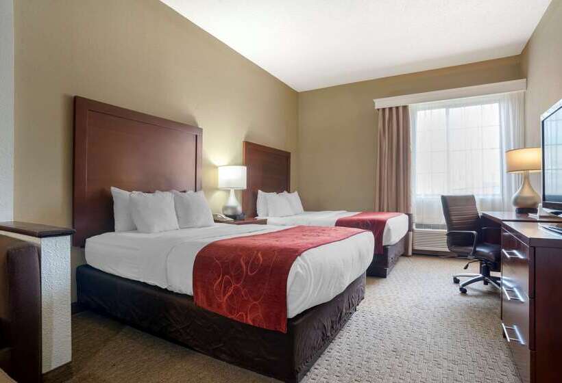 酒店 Comfort Suites Hattiesburg