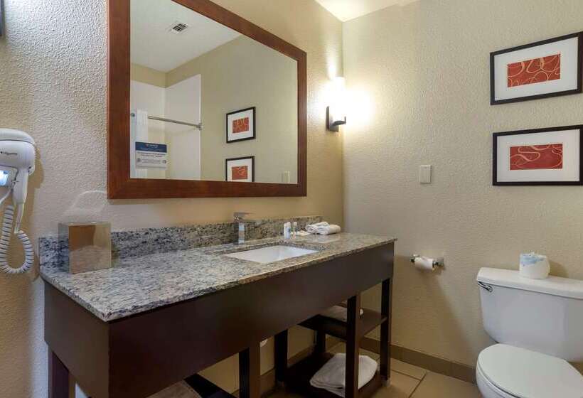 酒店 Comfort Suites Hattiesburg