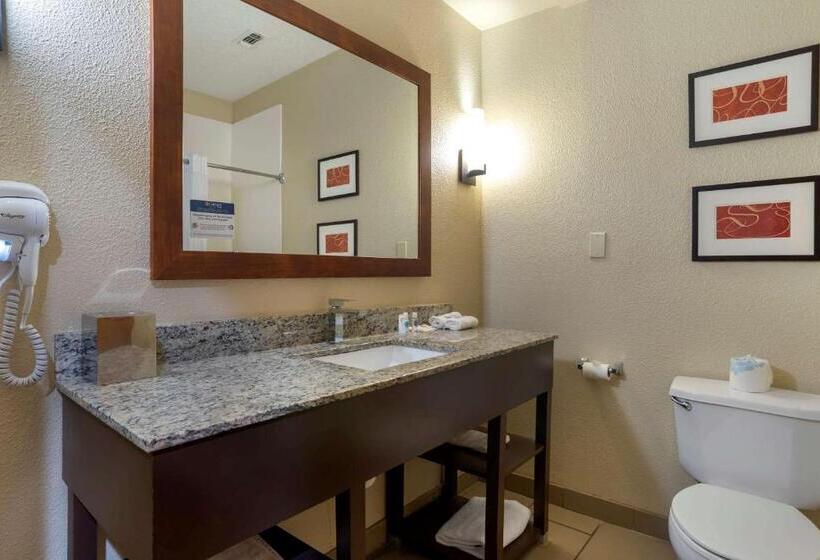 酒店 Comfort Suites Hattiesburg