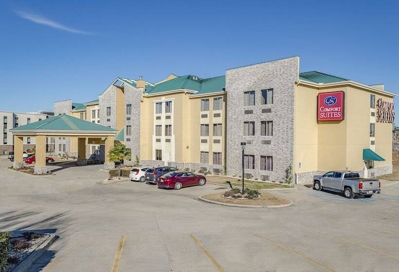 酒店 Comfort Suites Hattiesburg