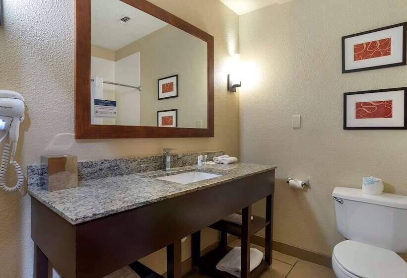 酒店 Comfort Suites Hattiesburg