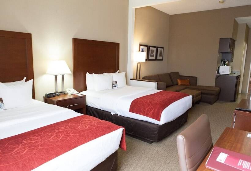 酒店 Comfort Suites Hattiesburg