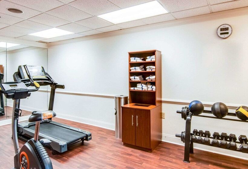 فندق Comfort Suites Inn At Ridgewood Farm