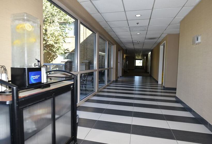 فندق Comfort Suites Inn At Ridgewood Farm