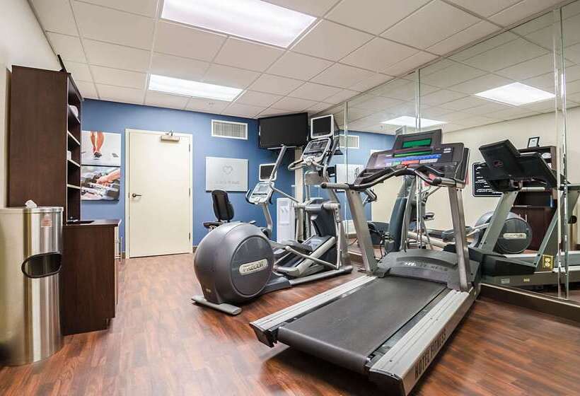 호텔 Comfort Suites Innsbrook Short Pump