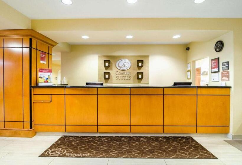 호텔 Comfort Suites Innsbrook Short Pump