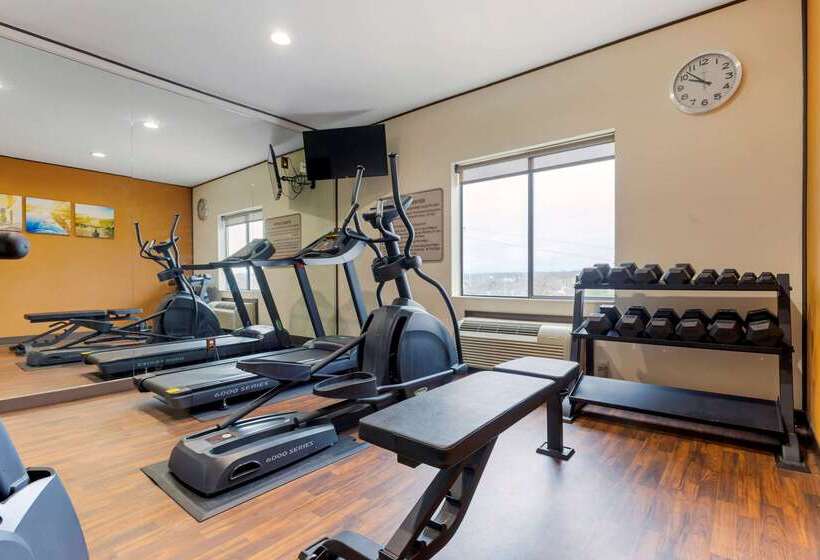 בית מלון כפרי Comfort Suites Johnson City Near University