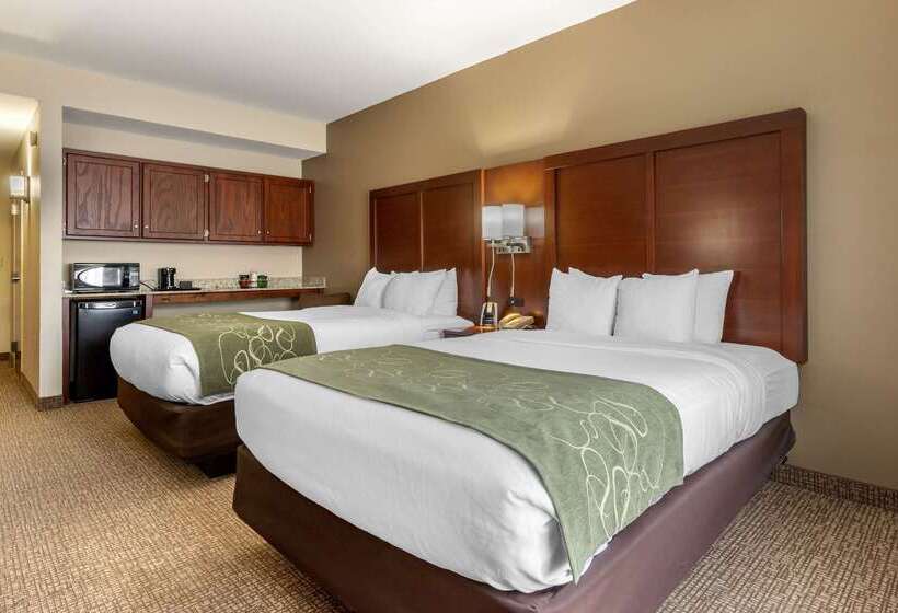 בית מלון כפרי Comfort Suites Johnson City Near University