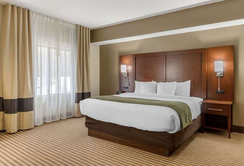 בית מלון כפרי Comfort Suites Johnson City Near University