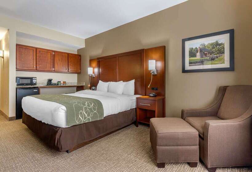 בית מלון כפרי Comfort Suites Johnson City Near University