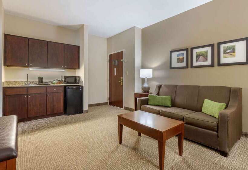 בית מלון כפרי Comfort Suites Johnson City Near University