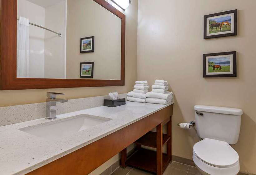 ホテル Comfort Suites Keeneland