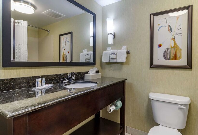 ホテル Comfort Suites Knoxville West Farragut