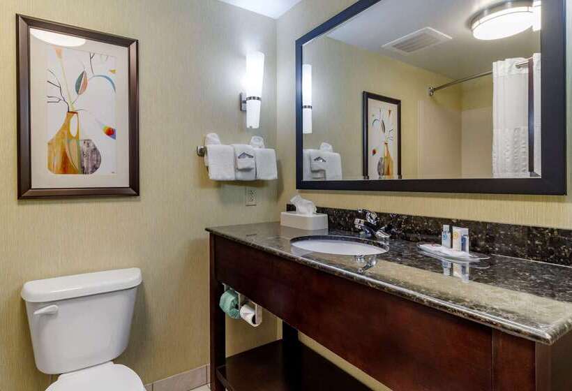 ホテル Comfort Suites Knoxville West Farragut