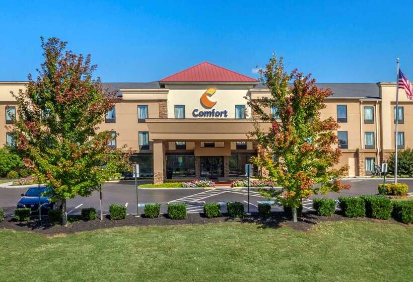 ホテル Comfort Suites Knoxville West Farragut