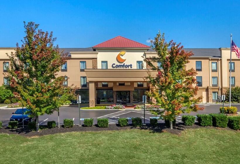 ホテル Comfort Suites Knoxville West Farragut