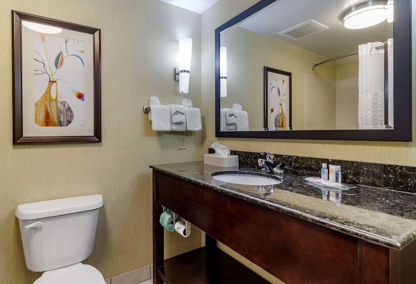 ホテル Comfort Suites Knoxville West Farragut