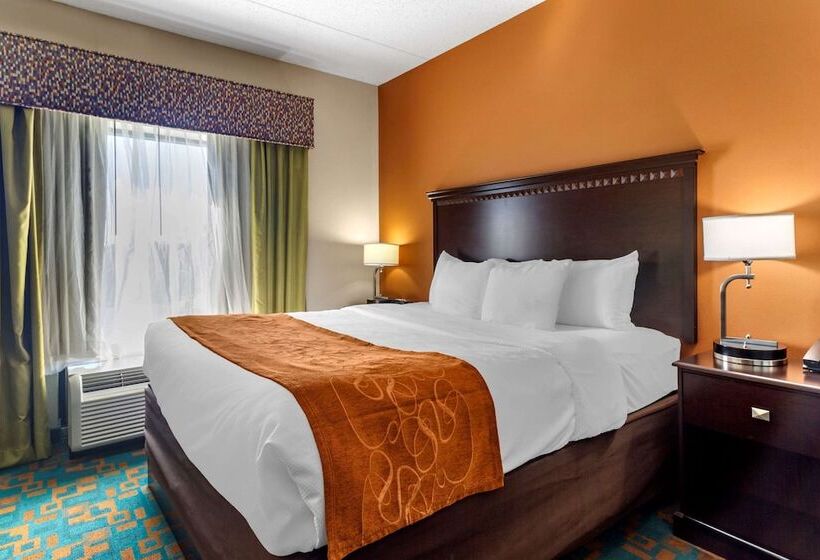 ホテル Comfort Suites Knoxville West Farragut
