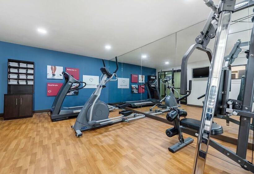 فندق Comfort Suites Lafayette University Area