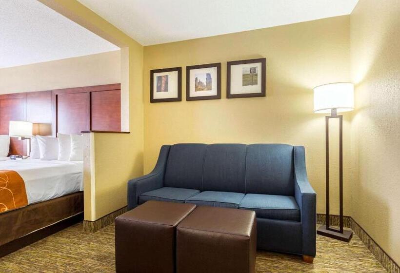 فندق Comfort Suites Near I 80 And I 94