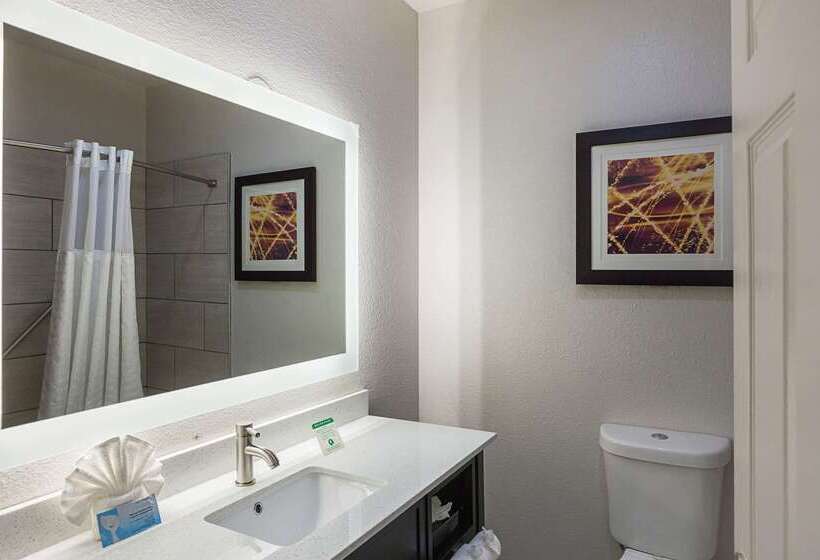 Отель Comfort Suites Lewisville