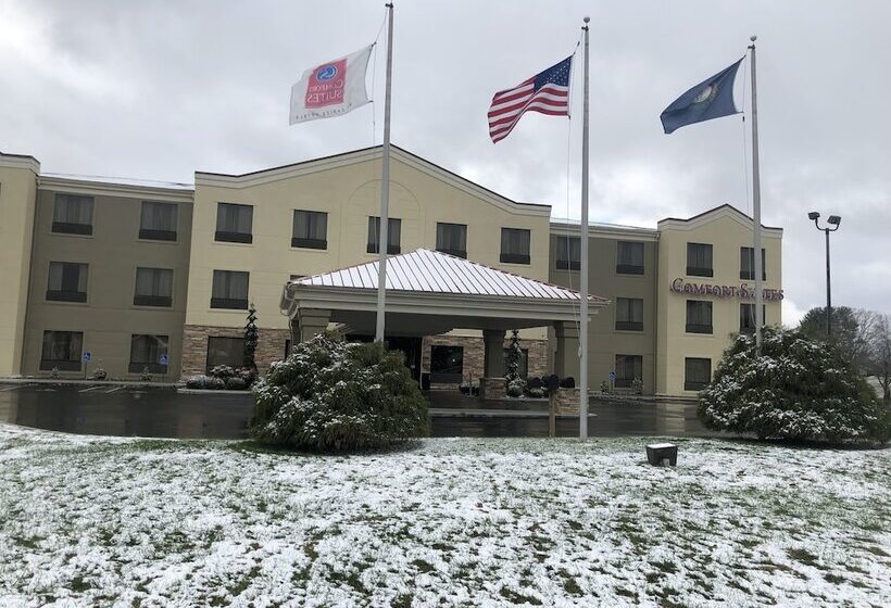 فندق Comfort Suites