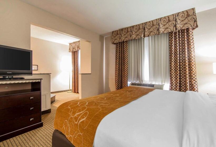 Отель Comfort Suites